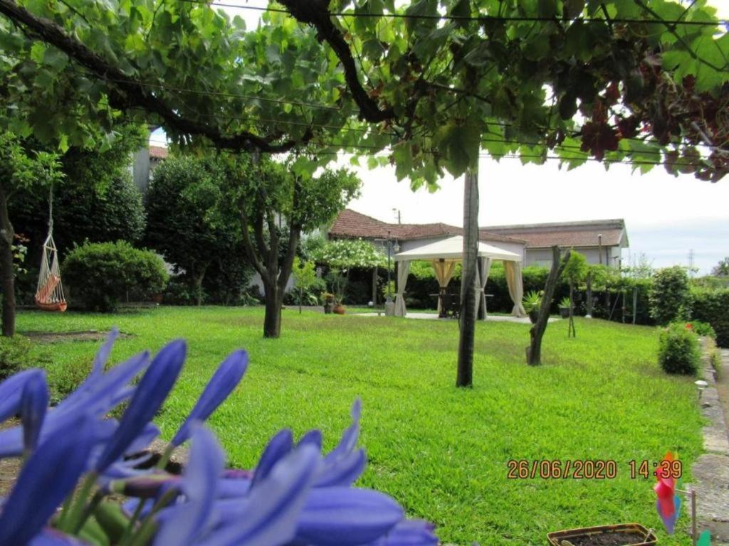 Casa De Sao Braz Villa Landim Ngoại thất bức ảnh